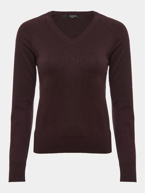 Basic Brown V-Neck Sweater