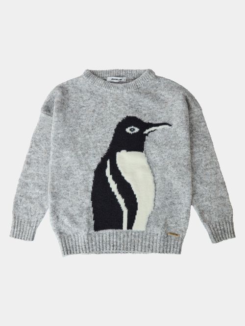 Anselmo Kids Gray Pullover